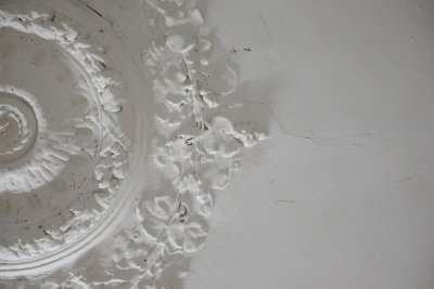 Het majestueuze plafond