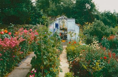Zo maak je een romantische cottagetuin zonder chaos