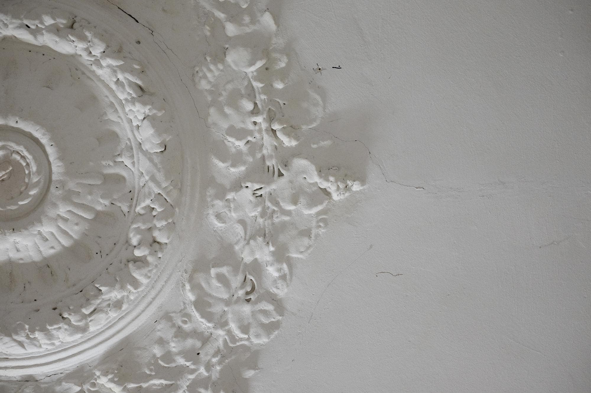 Het majestueuze plafond